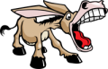 donkfish's Avatar
