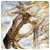 Chizphype's Avatar