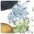 OKDavid's Avatar