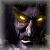 GenericiCialis's Avatar