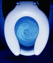 FlinnFlush's Avatar