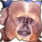 Cpaz's Avatar