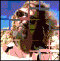 El_duderino's Avatar