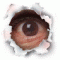 Paddy_Whacked's Avatar