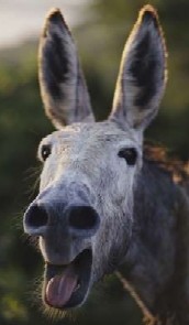CorbinDallas's Avatar