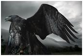 Extremophile's Avatar