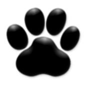 Olddog21's Avatar